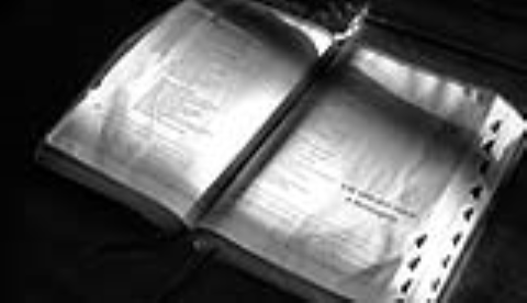 Auditoria Condominial Contábil Empresarial Financeira IMPOSTO DE RENDA